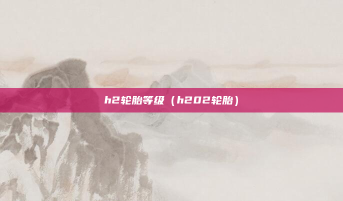 h2轮胎等级（h202轮胎）