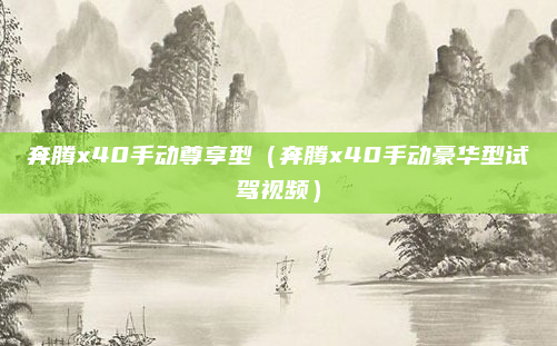 奔腾x40手动尊享型(奔腾x40手动豪华型试驾视频)