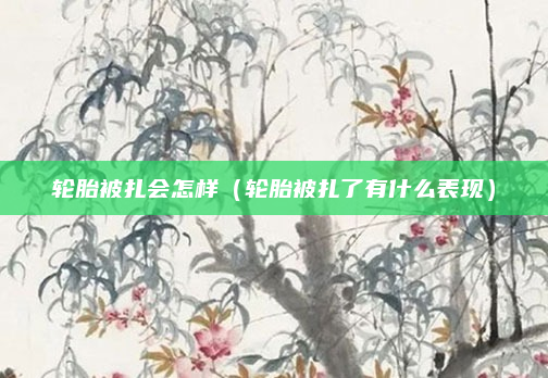 轮胎被扎会怎样（轮胎被扎了有什么表现）