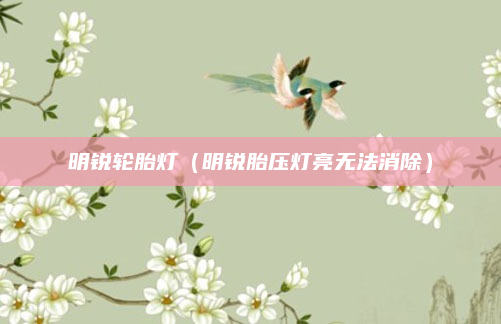 明锐轮胎灯(明锐胎压灯亮无法消除)