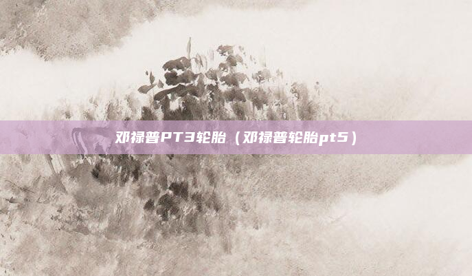 邓禄普PT3轮胎(邓禄普轮胎pt5)
