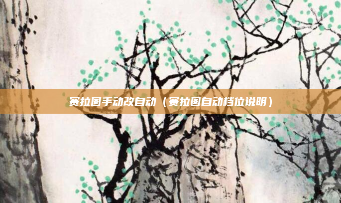 赛拉图手动改自动(赛拉图自动档位说明)