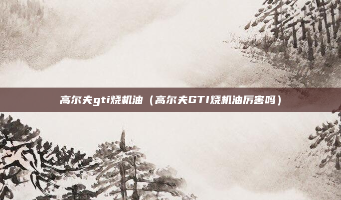 高尔夫gti烧机油(高尔夫GTI烧机油厉害吗)