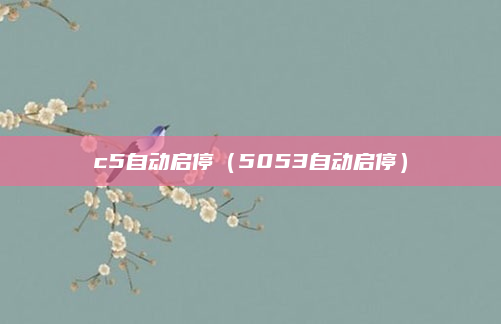 c5自动启停（5053自动启停）