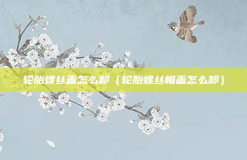 轮胎螺丝盖怎么卸(轮胎螺丝帽盖怎么卸)