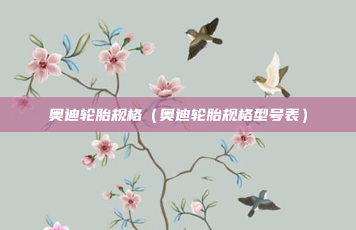 奥迪轮胎规格（奥迪轮胎规格型号表）
