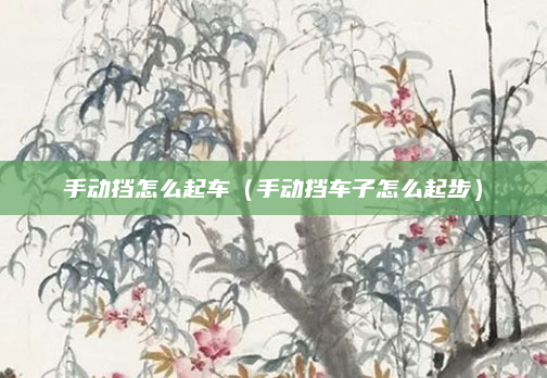 手动挡怎么起车(手动挡车子怎么起步)