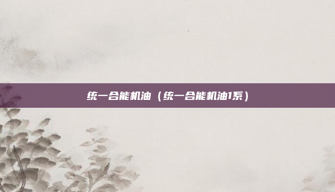 统一合能机油(统一合能机油1系)
