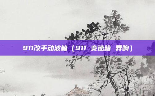 911改手动波箱（911 变速箱 异响）