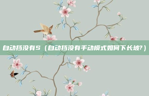 自动挡没有S(自动挡没有手动模式如何下长坡?)