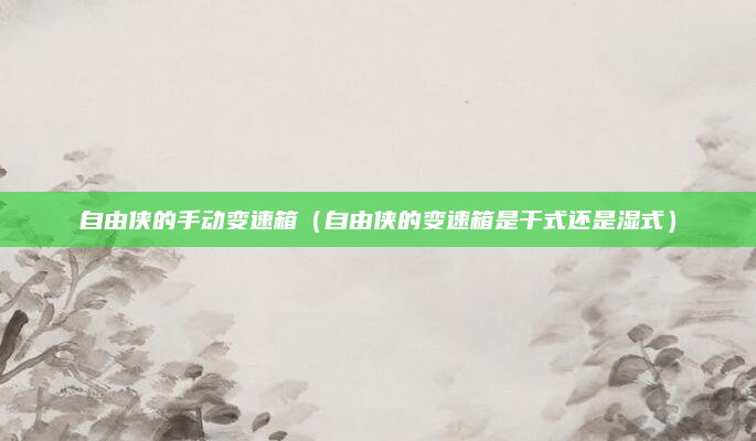 自由侠的手动变速箱(自由侠的变速箱是干式还是湿式)