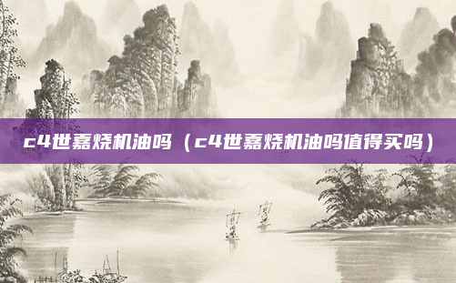 c4世嘉烧机油吗（c4世嘉烧机油吗值得买吗）