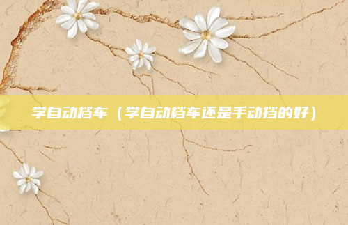 学自动档车(学自动档车还是手动挡的好)
