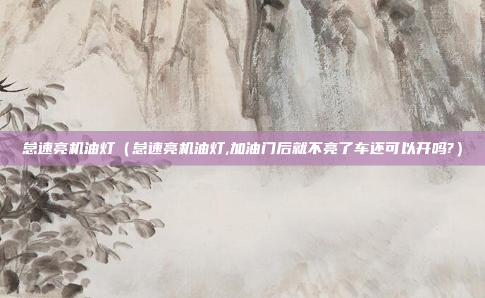 怠速亮机油灯(怠速亮机油灯,加油门后就不亮了车还可以开吗?)