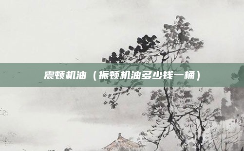 震顿机油（振顿机油多少钱一桶）