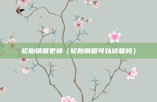 轮胎钢圈更换（轮胎钢圈可以修复吗）