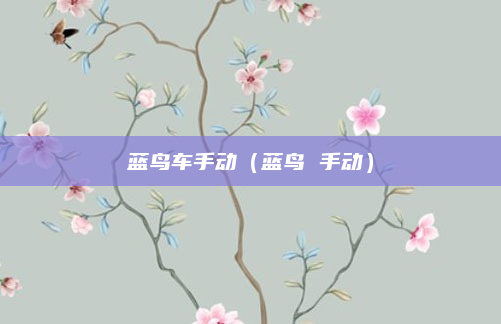 蓝鸟车手动(蓝鸟 手动)