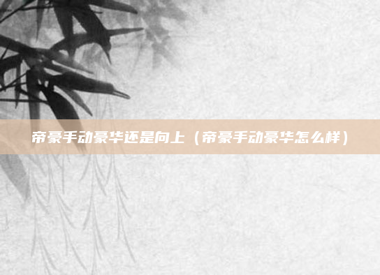帝豪手动豪华还是向上（帝豪手动豪华怎么样）