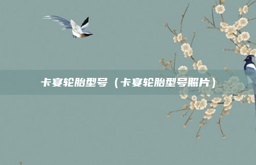 卡宴轮胎型号（卡宴轮胎型号照片）