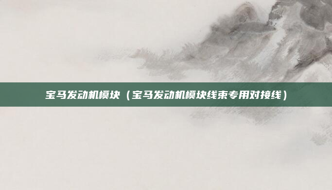 宝马发动机模块（宝马发动机模块线束专用对接线）