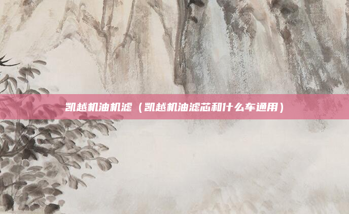 凯越机油机滤(凯越机油滤芯和什么车通用)