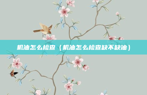 机油怎么检查(机油怎么检查缺不缺油)