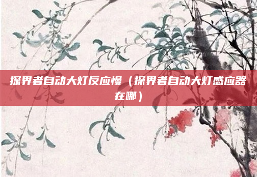 探界者自动大灯反应慢(探界者自动大灯感应器在哪)