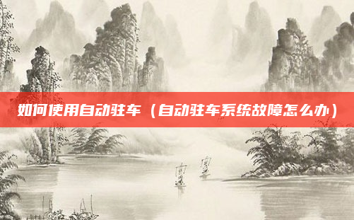 如何使用自动驻车(自动驻车系统故障怎么办)