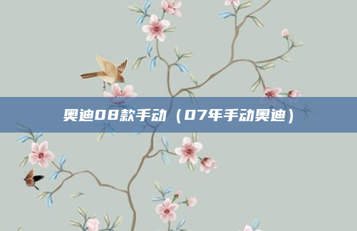奥迪08款手动（07年手动奥迪）