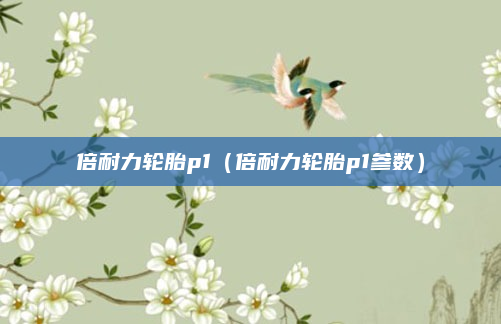 倍耐力轮胎p1（倍耐力轮胎p1参数）