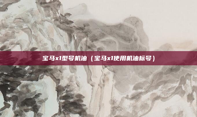 宝马x1型号机油(宝马x1使用机油标号)