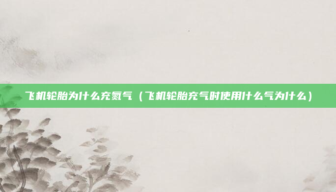 飞机轮胎为什么充氮气(飞机轮胎充气时使用什么气为什么)
