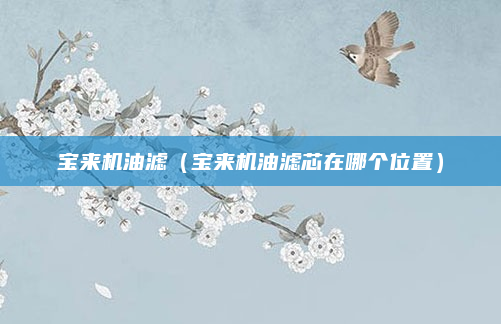 宝来机油滤(宝来机油滤芯在哪个位置)