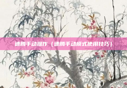 速腾手动操作（速腾手动模式使用技巧）