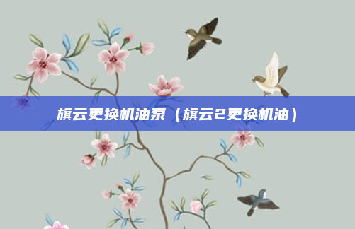 旗云更换机油泵(旗云2更换机油)