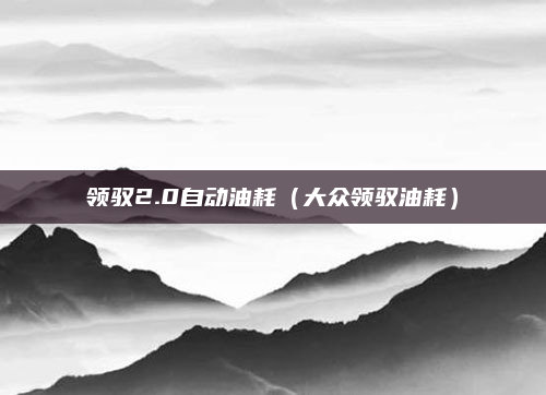 领驭2.0自动油耗（大众领驭油耗）