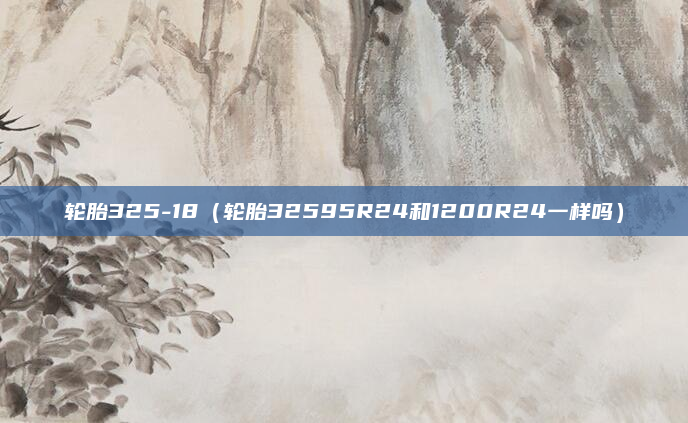 轮胎325-18(轮胎32595R24和1200R24一样吗)