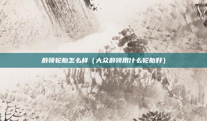蔚领轮胎怎么样(大众蔚领用什么轮胎好)