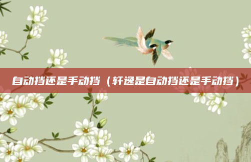 自动挡还是手动挡（轩逸是自动挡还是手动挡）