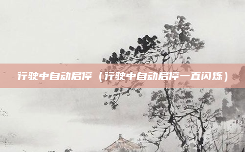 行驶中自动启停(行驶中自动启停一直闪烁)