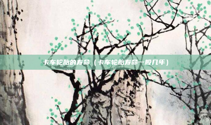 卡车轮胎的寿命（卡车轮胎寿命一般几年）