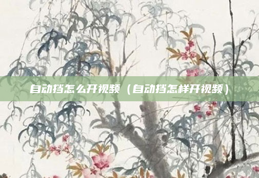 自动挡怎么开视频（自动挡怎样开视频）