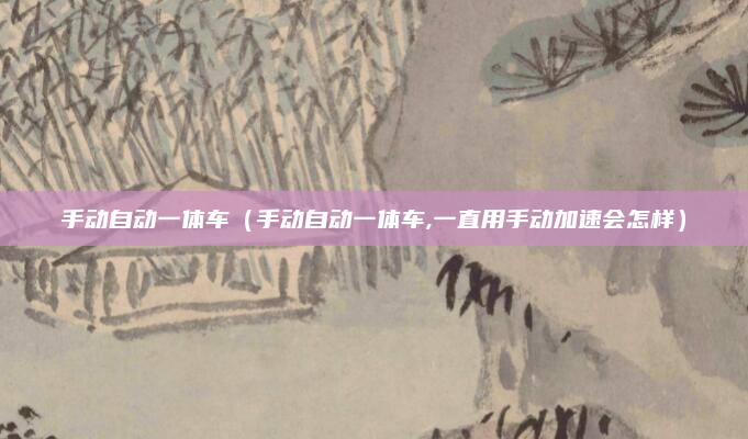 手动自动一体车(手动自动一体车,一直用手动加速会怎样)