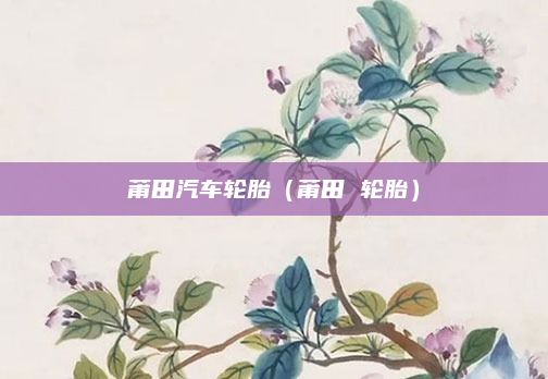 莆田汽车轮胎(莆田 轮胎)