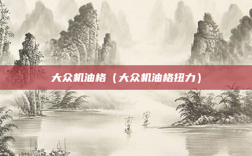 大众机油格（大众机油格扭力）