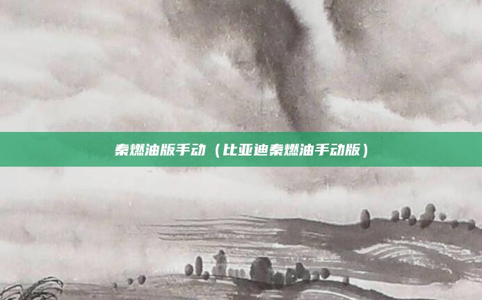 秦燃油版手动（比亚迪秦燃油手动版）
