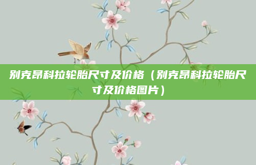 别克昂科拉轮胎尺寸及价格(别克昂科拉轮胎尺寸及价格图片)