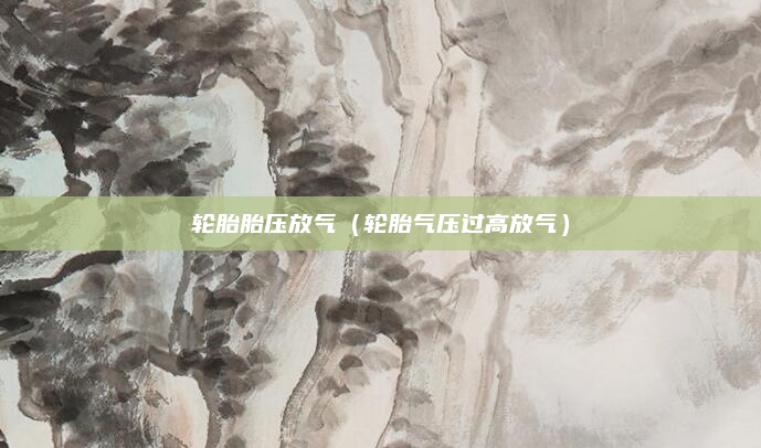 轮胎胎压放气（轮胎气压过高放气）