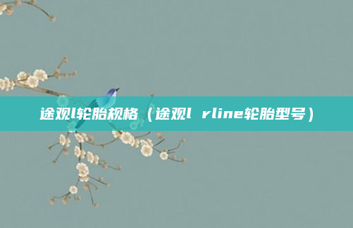 途观l轮胎规格（途观l rline轮胎型号）
