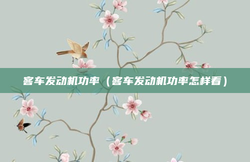 客车发动机功率（客车发动机功率怎样看）